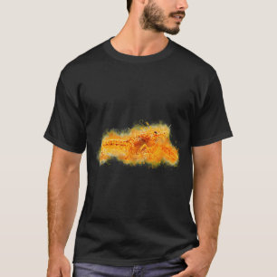 Camiseta Peixe-anjo multicolorido de água salgada de recife