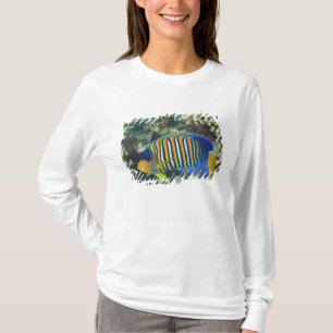 Camiseta Peixe-anjos-regio juvenil Pygoplites