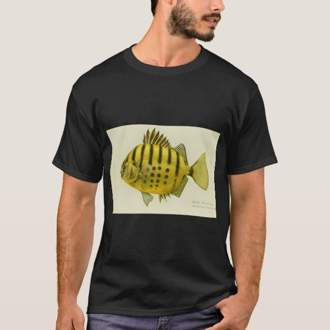 Camiseta Peixe-Butter Estriado (Frente)