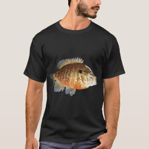 Camiseta Peixe de Panela