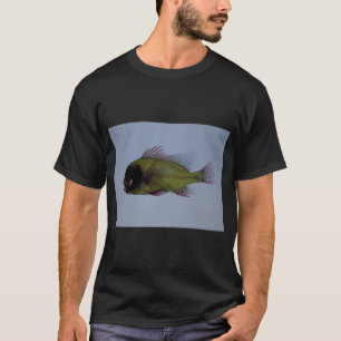Camiseta Peixe dourado olho de dragão arco-íris