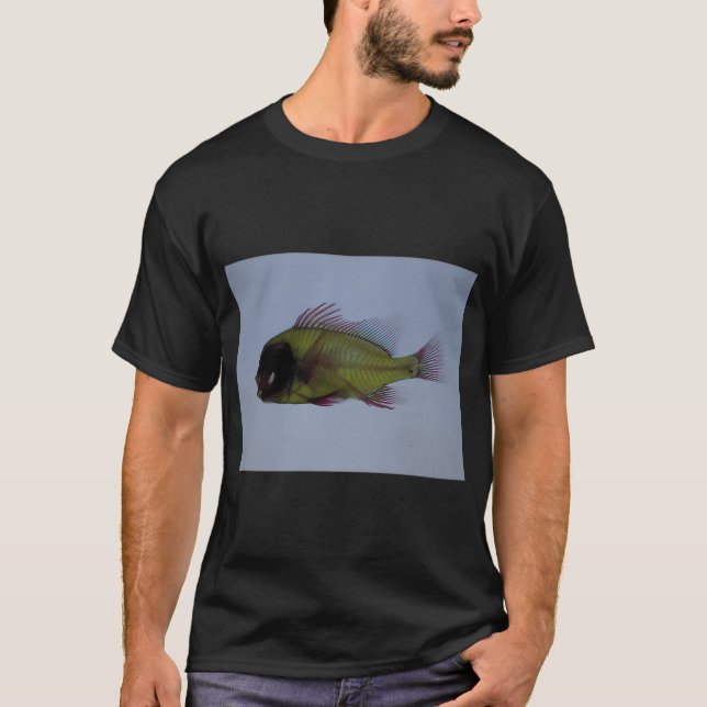 Camiseta Peixe dourado olho de dragão arco-íris (Frente)