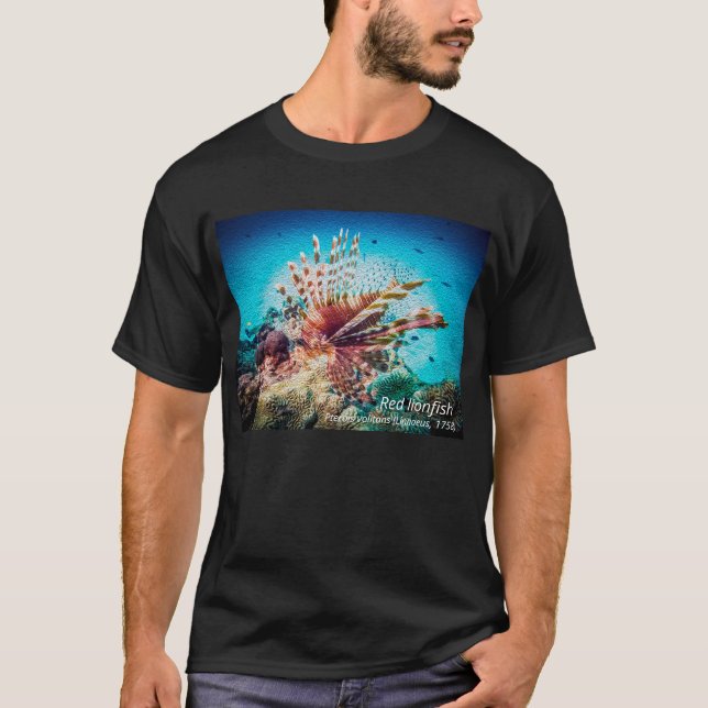 Camiseta  Peixe-leão vermelho  (Frente)