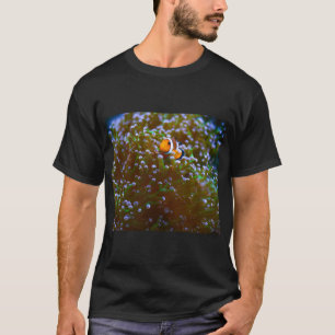 Camiseta peixe palhaço
