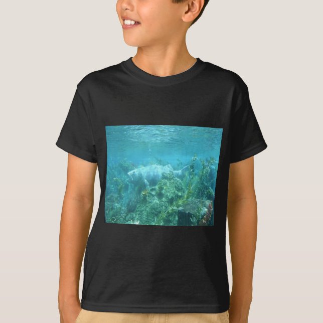 Camiseta Peixe pescado... design de peixe submarino (Frente)