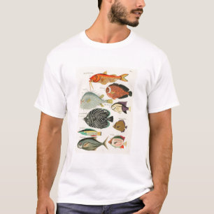 Camiseta Peixes