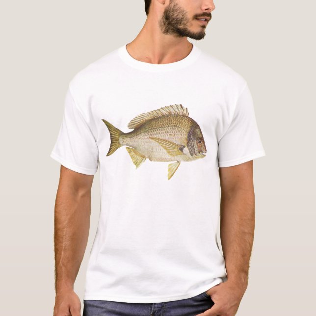 Camiseta Peixes - Black Bream - Mylio australis (Frente)