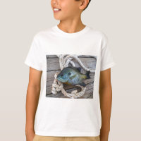 Peixes-Bluegill nas docas e cordas