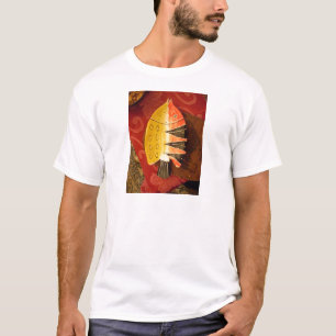 Camiseta Peixes chatos vermelhos com amarelo preto e listra