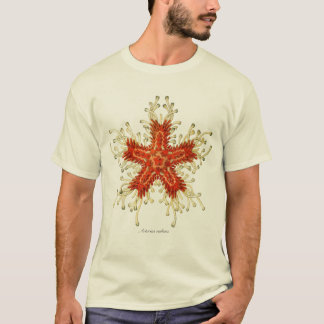 Camiseta Peixes da estrela