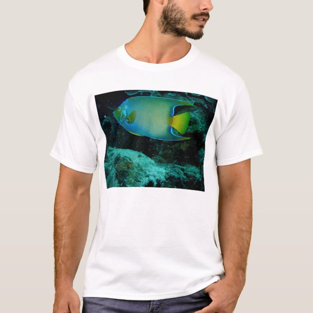 Camiseta Peixes do anjo da rainha (Frente)