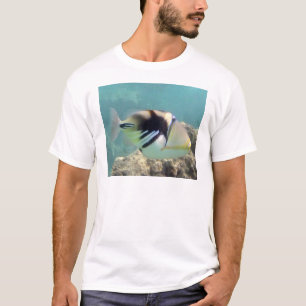 Camiseta Peixes do estado de Havaí - Humuhumunukunukuapua'