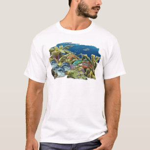 Camiseta Peixes do recife sobre o t-shirt do coral de