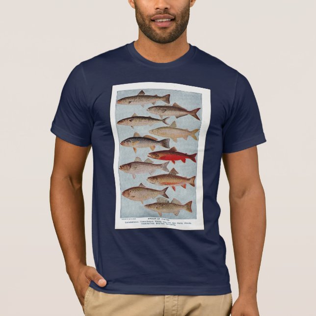 Camiseta Peixes do vintage (Frente)