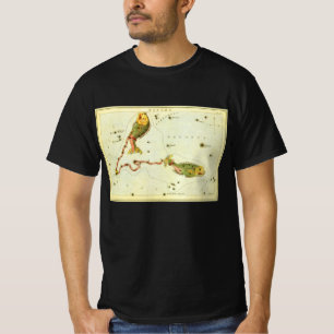 Camiseta Peixes, Espelho de Urânia da Constelação Vintage