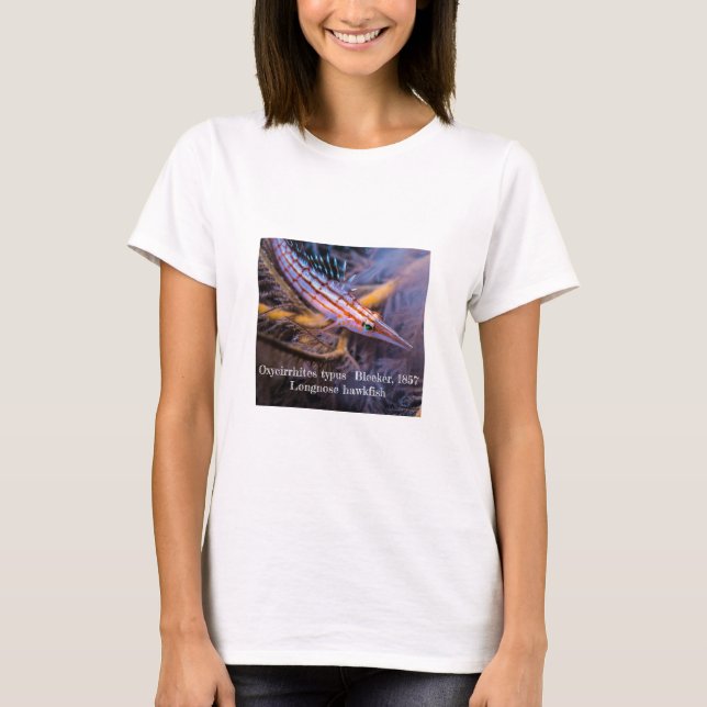 Camiseta Peixes-gavião-de-bico-longo (Frente)