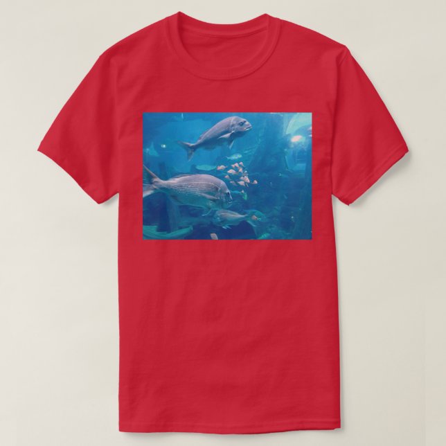 Camiseta Peixes no aquário (Frente do Design)
