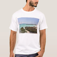 Pelo mar das caraíbas
