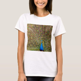 Camiseta Penas da Cauda Peacock