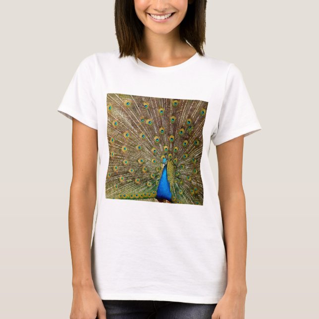 Camiseta Penas da Cauda Peacock (Frente)