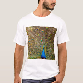 Camiseta Penas da Cauda Peacock