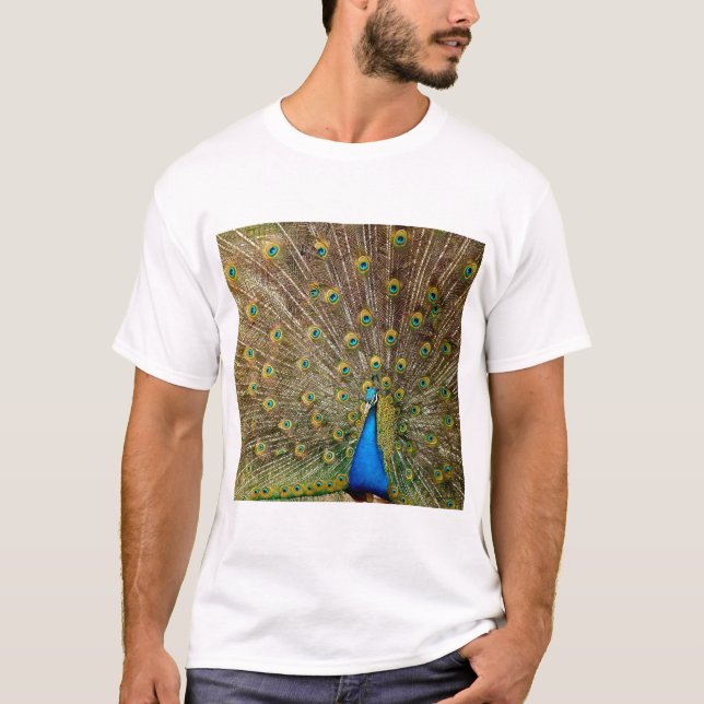 Camiseta Penas da Cauda Peacock (Frente)