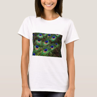 Camiseta Penas de Peacock