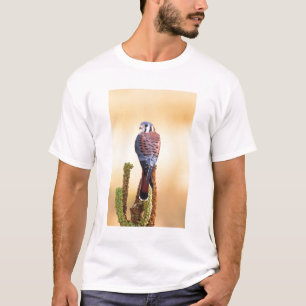 Camiseta Peneireiro-cinzento, Falco sparverius, Nativo dos
