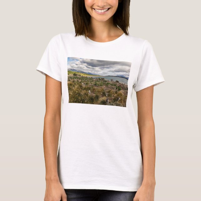 Camiseta Penguinera (Frente)