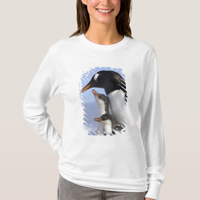 Camiseta Península Antártica, Neko Harbor, Gentoo (Frente)
