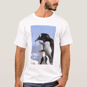 Camiseta Península Antártica, Porto Neko, Pinguim-de-gentoo