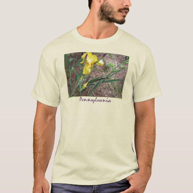 Camiseta Pensilvânia -- Íris (Frente)
