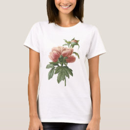 Camiseta peônia (sp do Paeonia.) por Redouté
