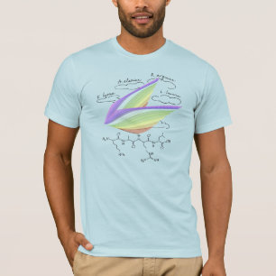 Camiseta peptídeo KARL, tema AUC, texto personalizado, clar
