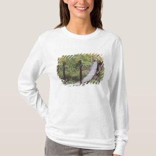 Camiseta Pequena ponte pendente, Patrimônio Nacional do Car