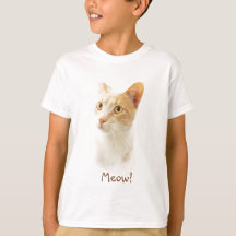 Pequeno Gato Loiro Maravilhoso