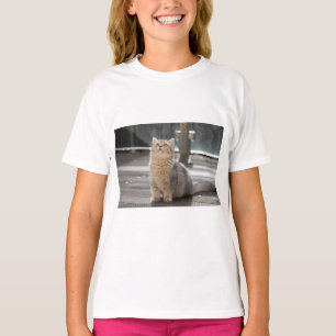 Camiseta Pequeno-metrô britânico, Cat, Pet