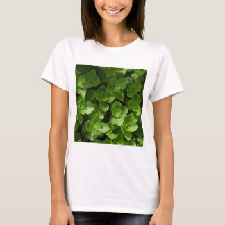 Camiseta Perdida em Folhas