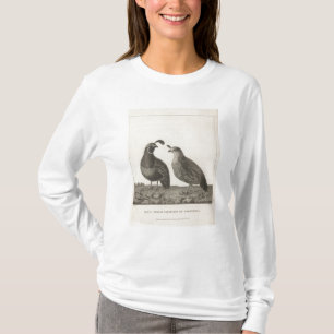 Camiseta Perdiz masculina & fêmea de Califórnia