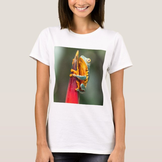 Camiseta Perereca de árvore de perna de tigre verde laranja (Frente)