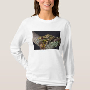 Camiseta Perereca-de-olho-vermelho-africana, Leptopelis