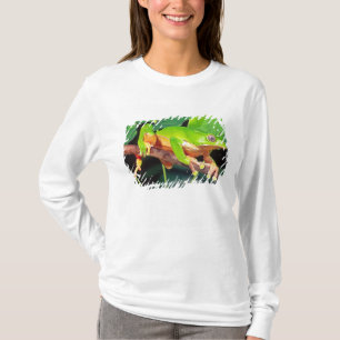 Camiseta Perereca-macaco gigante bicolor, Phyllomedusa
