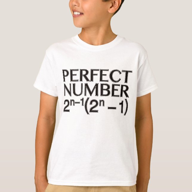CAMISETA PERFECT_NUMBER (Frente)