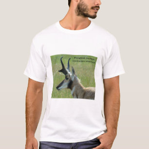 Camiseta Perfil da Cabeça do Grande Antílope Bighorn A47