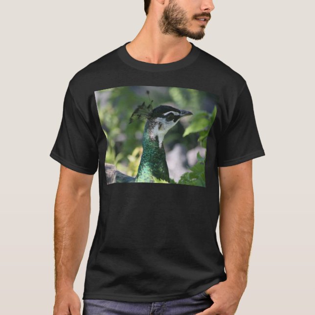 Camiseta Perfil de Peahen (Frente)