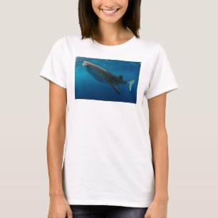 Camiseta Perfil de um tubarão de baleia, Indonésia
