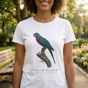 Camiseta Periquito-arco-íris fêmea, Trichoglossus moluccanu