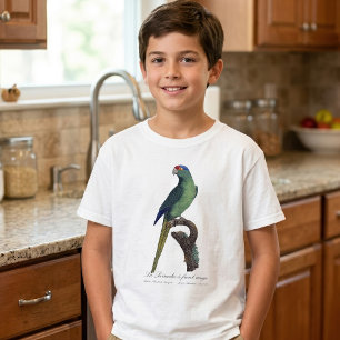 Camiseta Periquito-de-testa-laranja, Eupsittula Canicularis