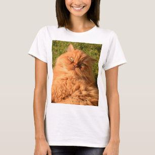 Camiseta persa laranja