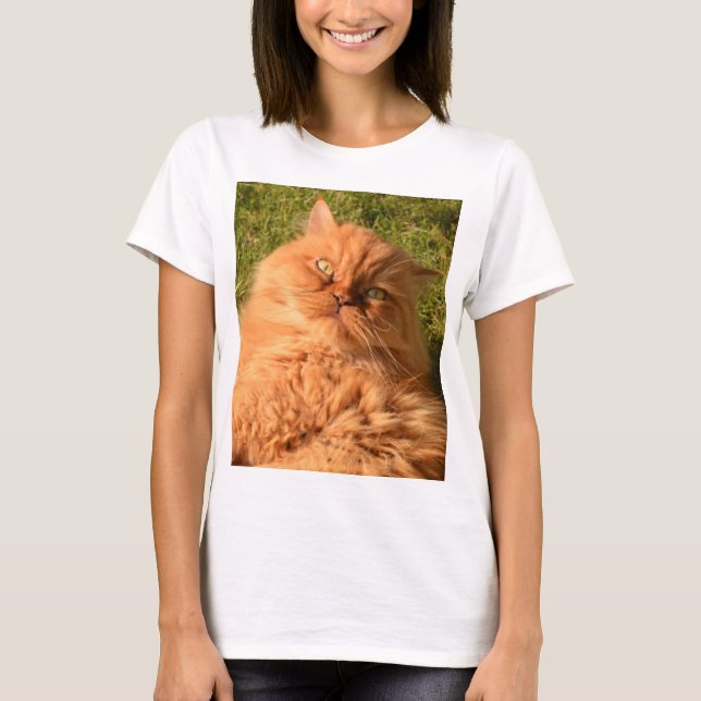 Camiseta persa laranja (Frente)